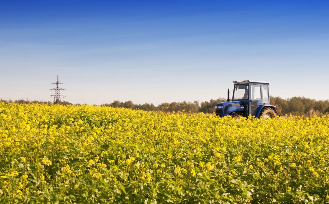 Turkey Is the International Market Leader in Agriculture Sector