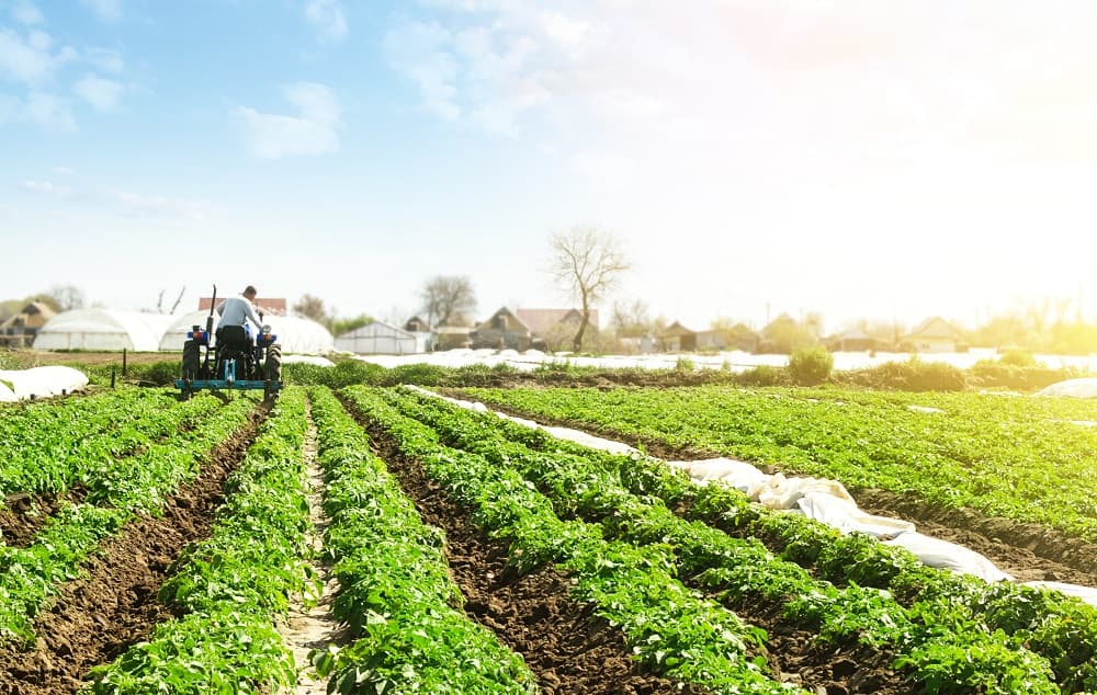 Inside the Agriculture in Turkey