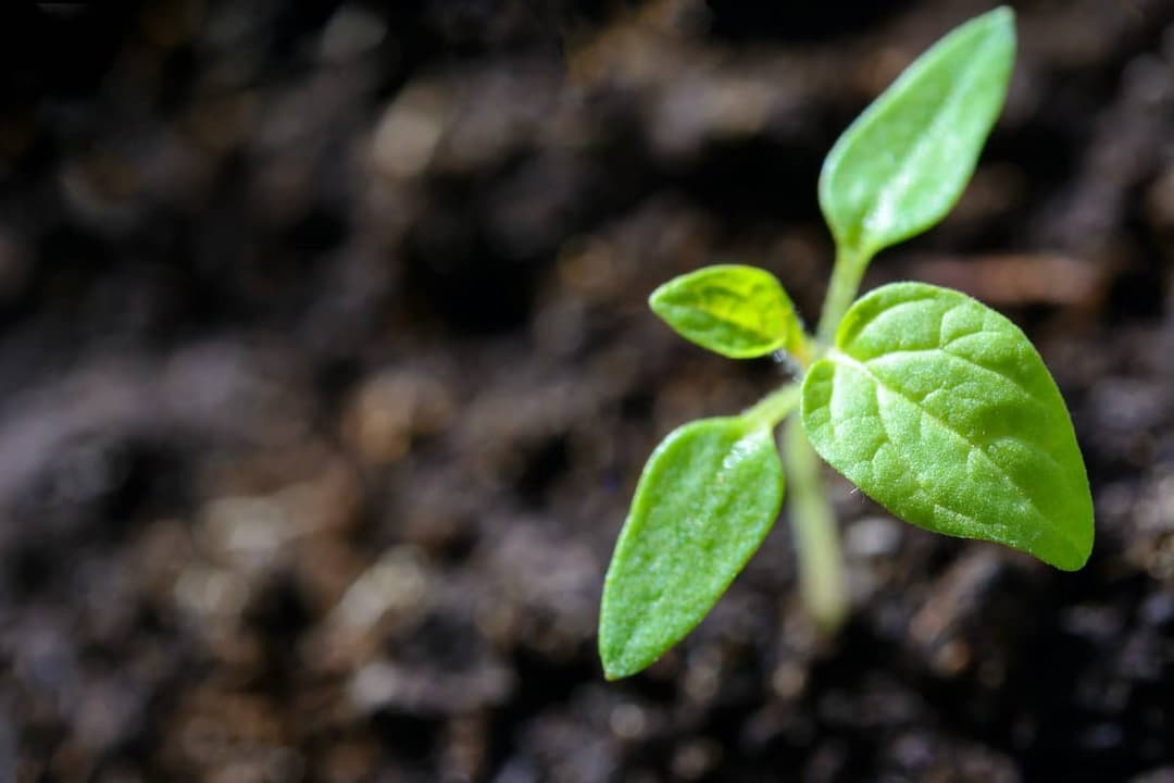 What Expects the Future of Agronomy?