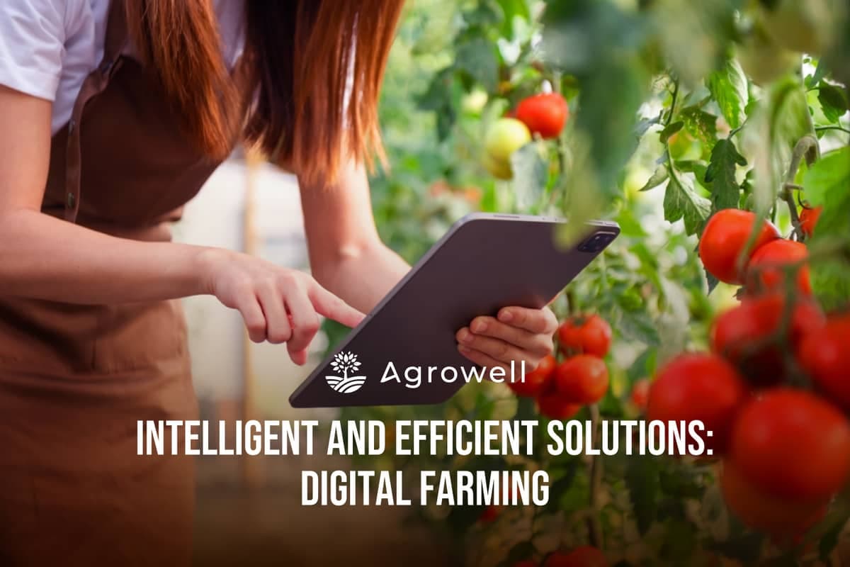 What is Digital Farming in Agriculture?