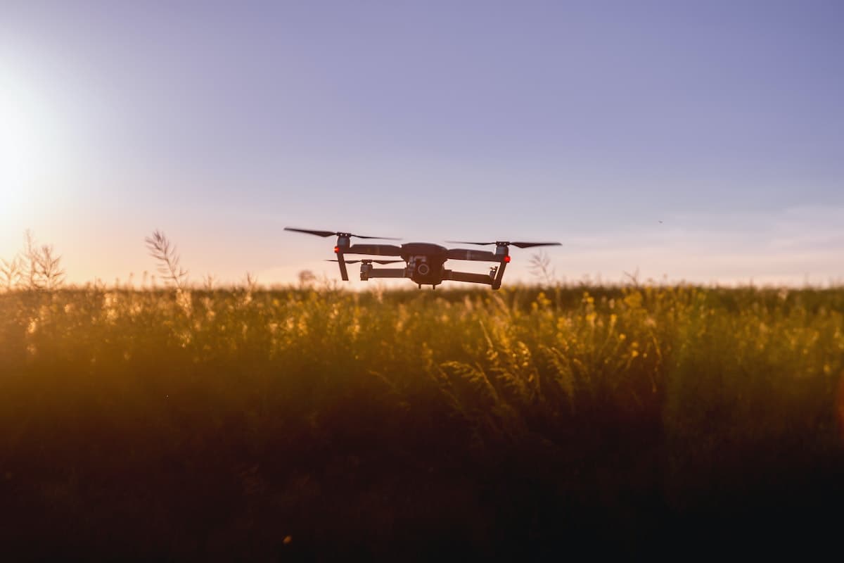 AI in Agriculture: How It Solves Farming Issues