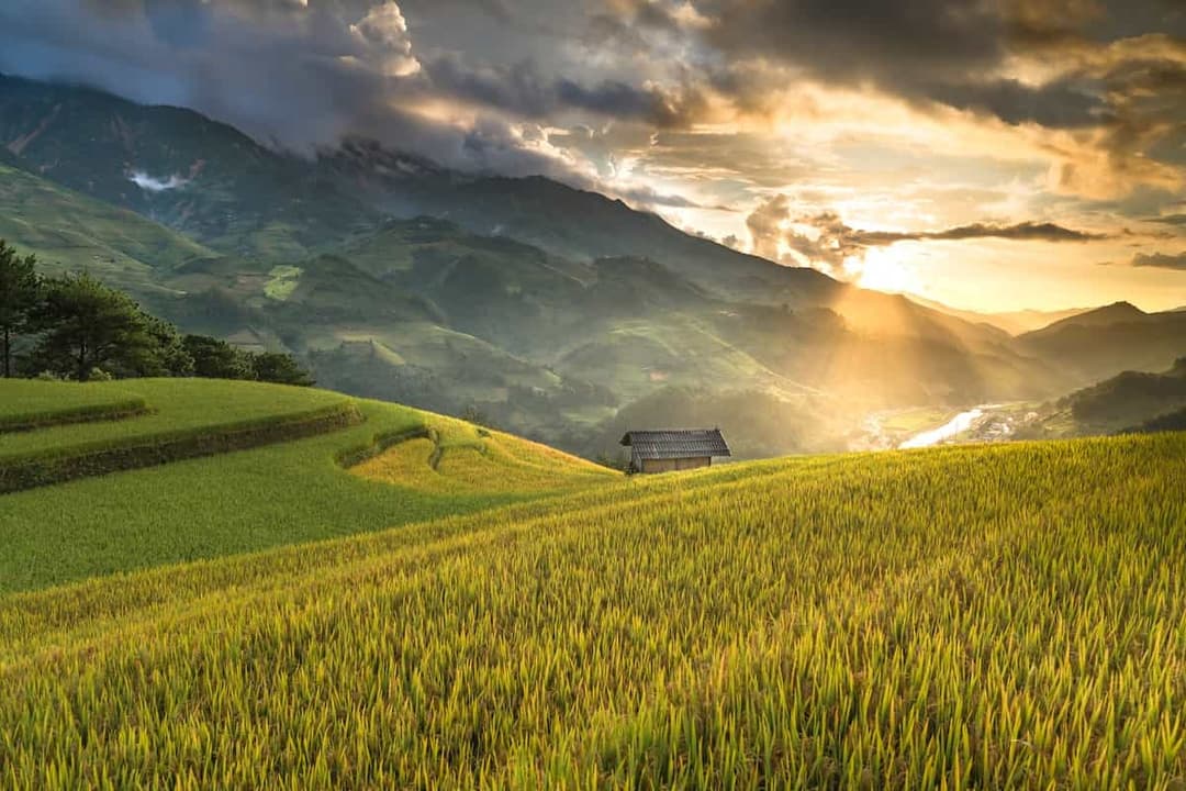 How Technology is Revolutionizing Agricultural Exports