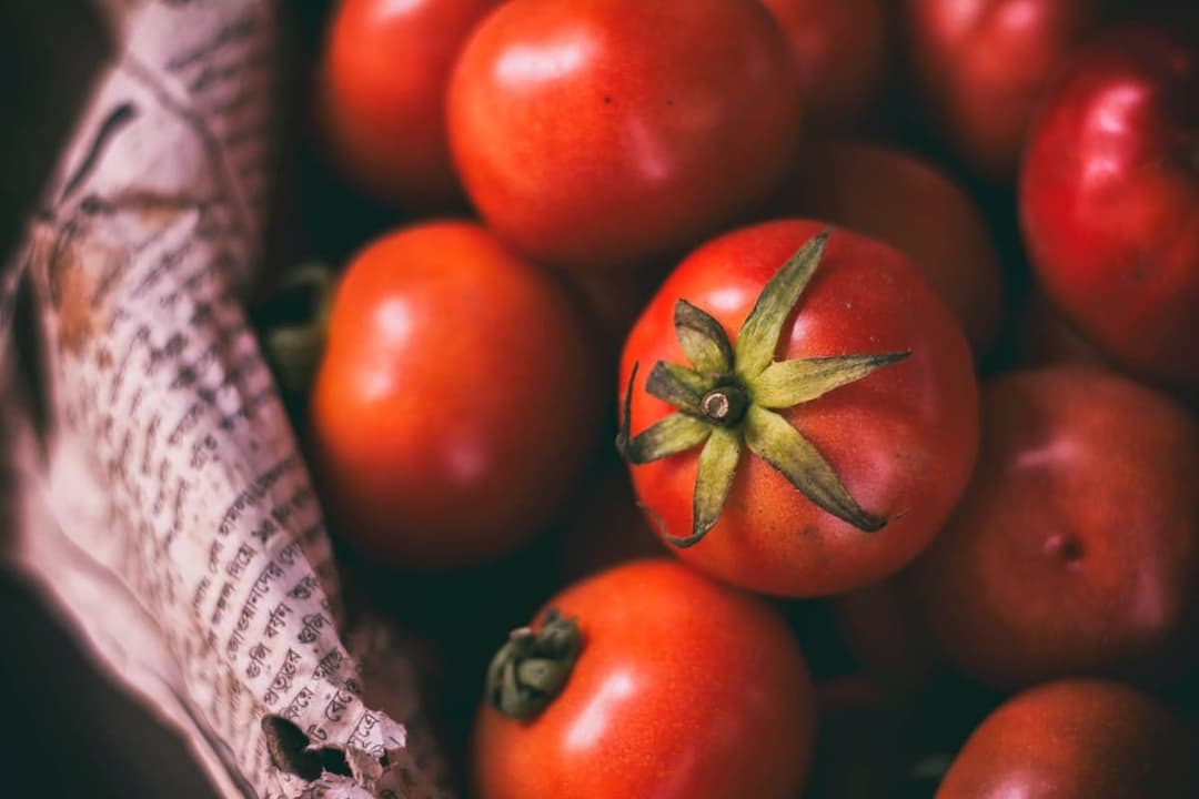 The Benefits and Future of Organic Farming