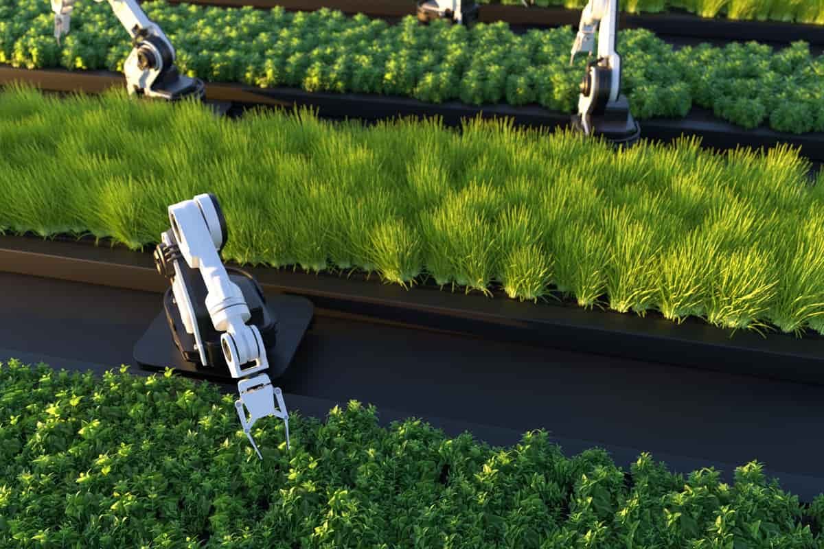 The Role of Technology in Improving Agricultural Exports