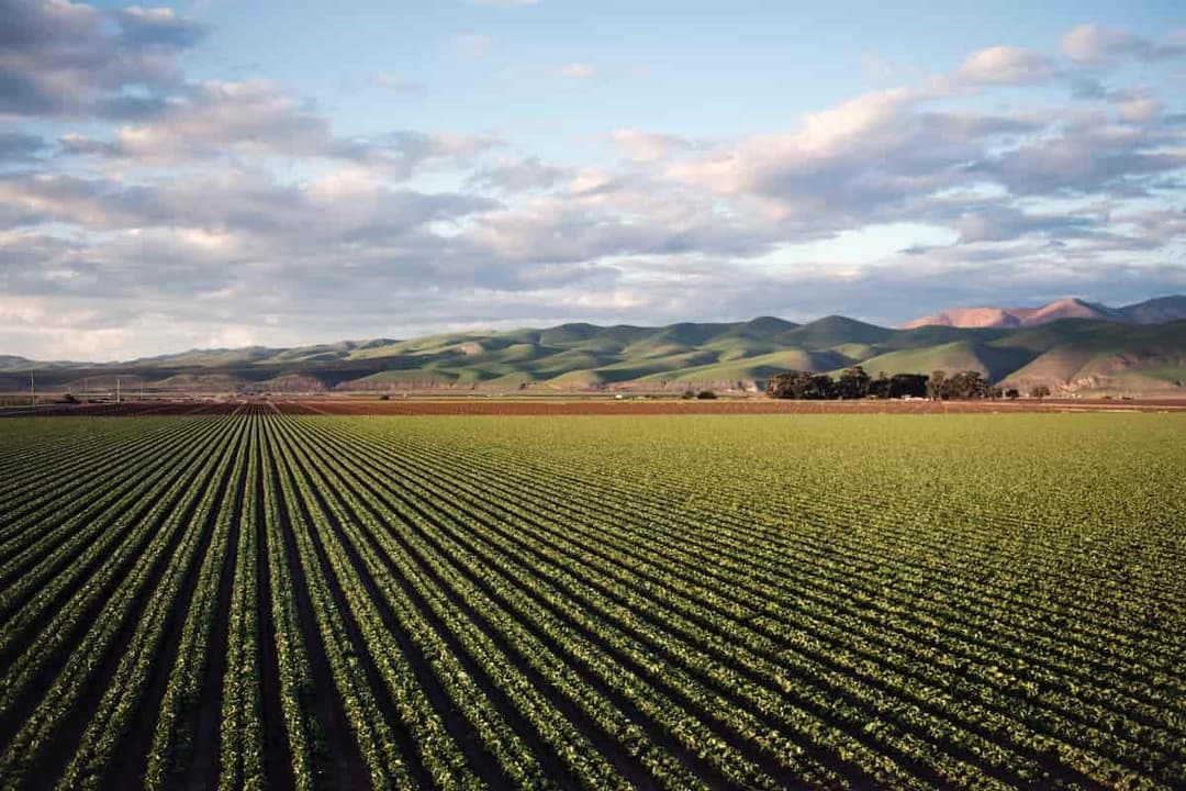 Türkiye’s Top Exported Agricultural Products