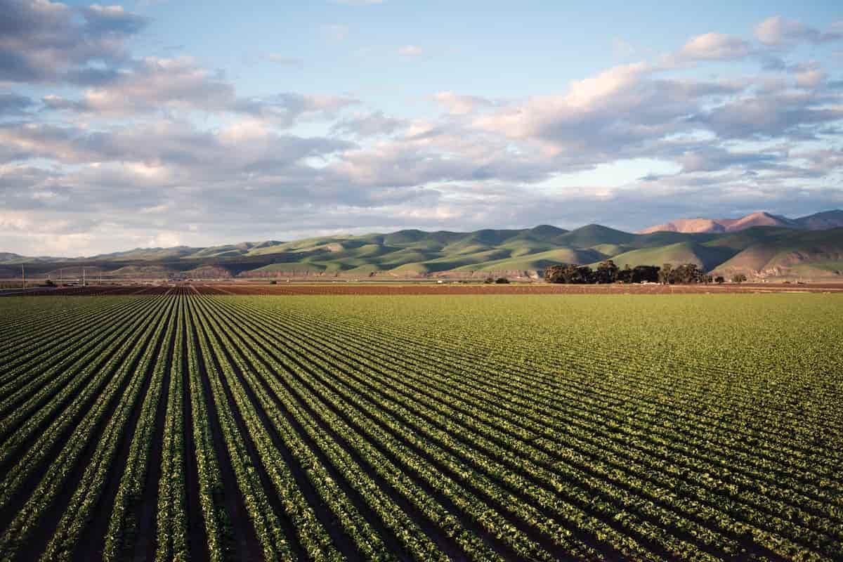 Türkiye’s Top Exported Agricultural Products
