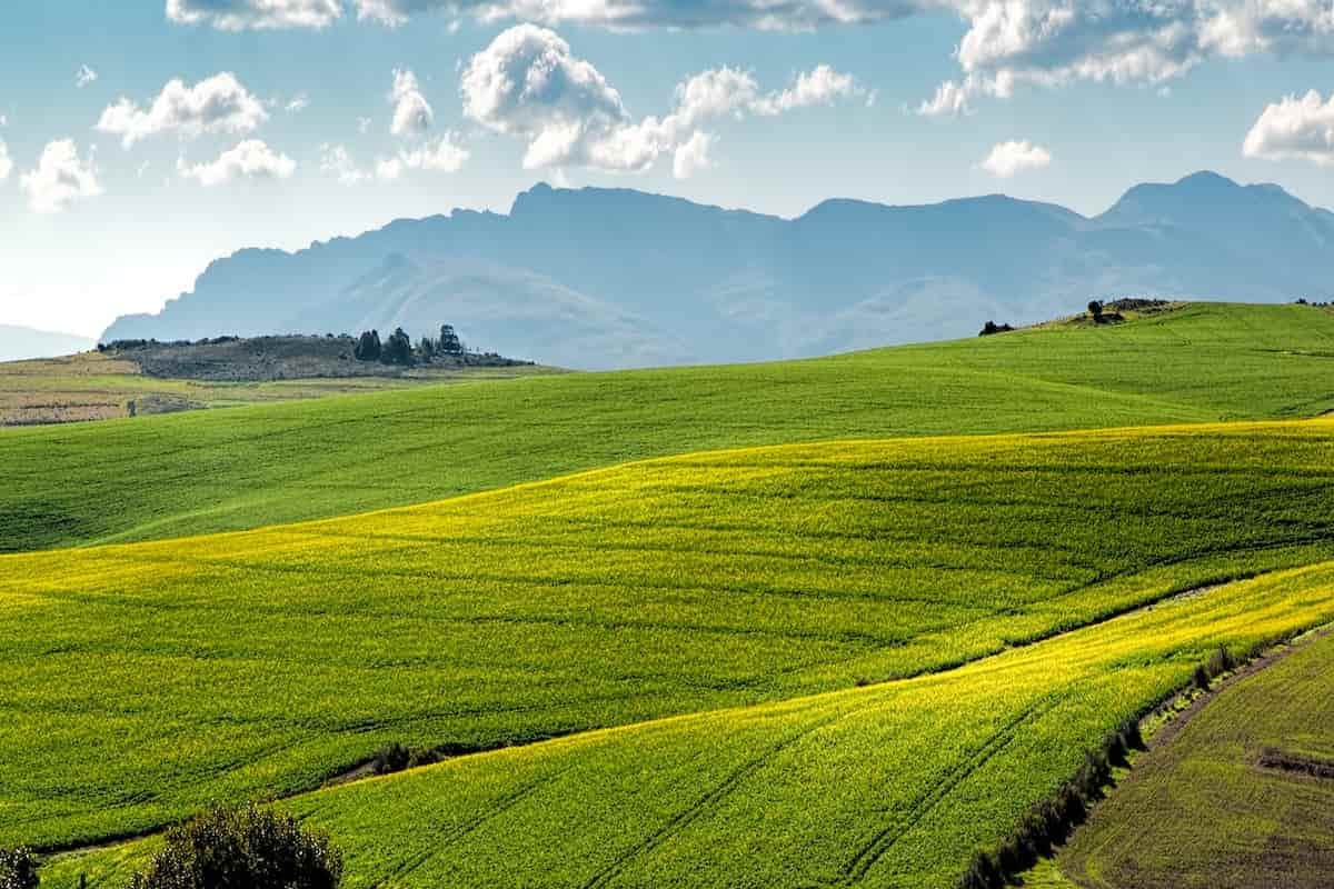 Why Is It Fundamental to Support Local Farmers?