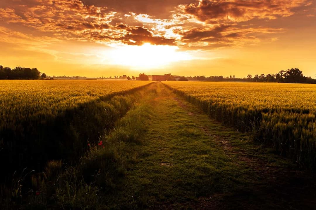 EU Green Deal Farm to Strategy: Pathway to Sustainable Agriculture