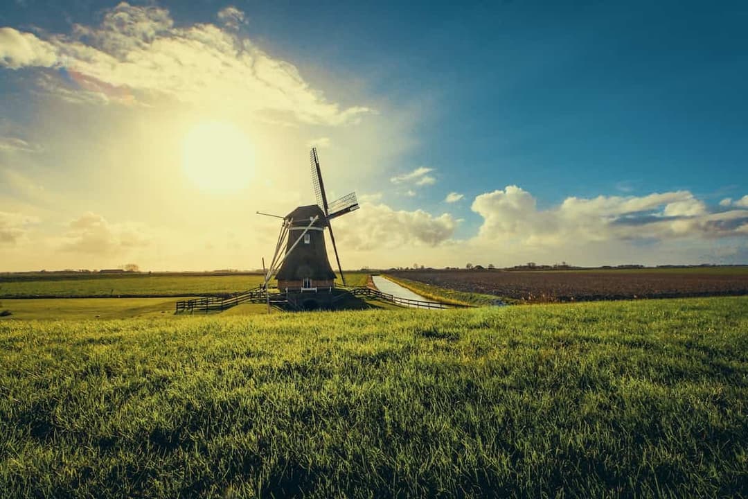 The Importance of Social Responsibility Projects in Agriculture