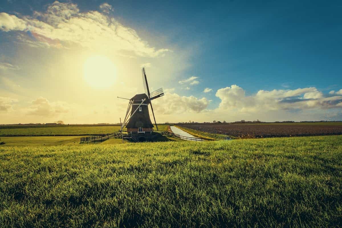 The Importance of Social Responsibility Projects in Agriculture
